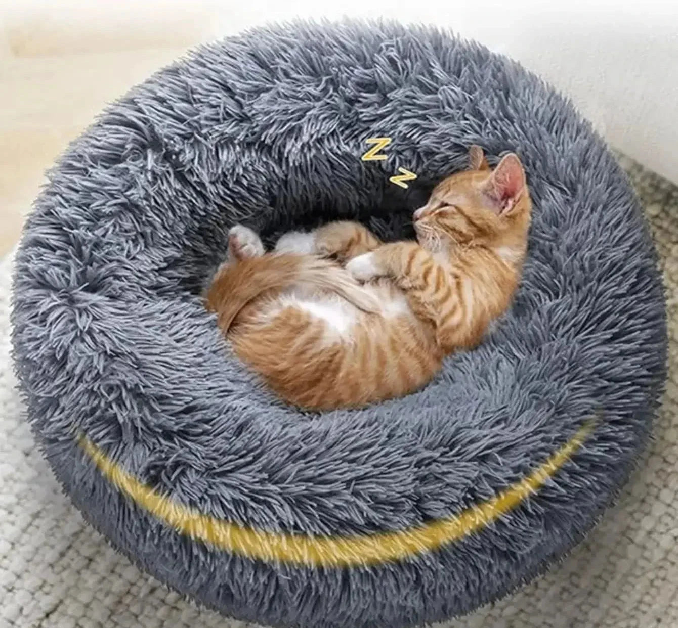 Pet Bed